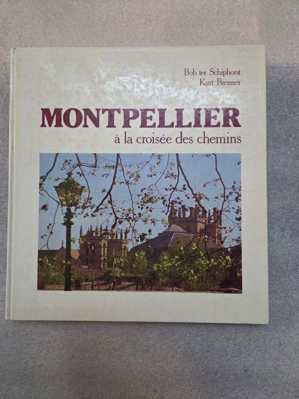 MONTPELLIER &agrave; la crois&eacute;e des Chemins Livres et BD