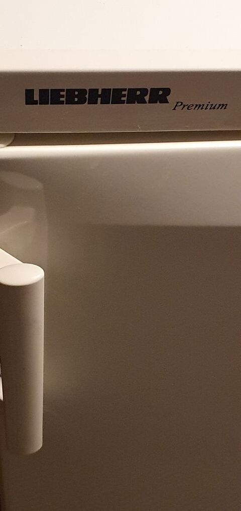 Frigo Top 70 Algrange (57)