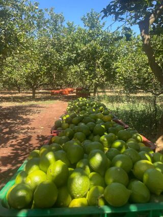  Ferme � vendre 3/4 pi�ces 19000 m� El jadida, maroc