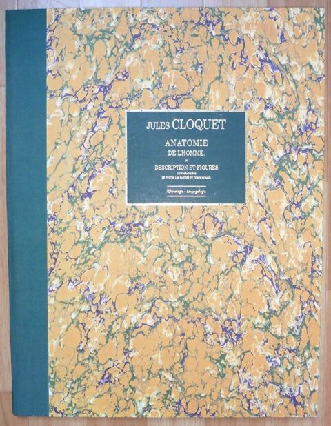 Anatomie de l'homme ou description et figures - Rhinologie - 50 Hergnies (59)