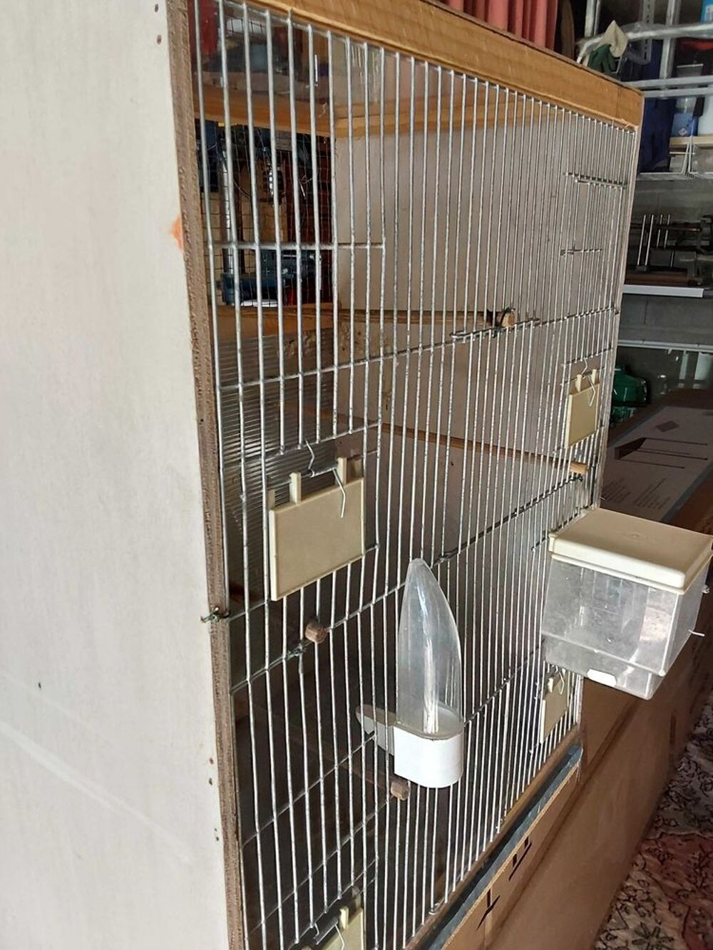 cage oiseaux Jardin
