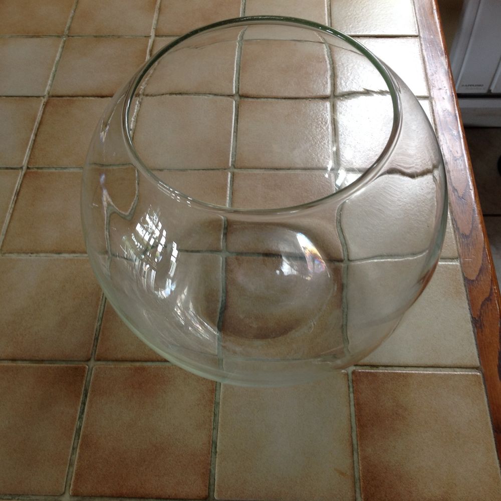bocal pour poisson rouge Jardin