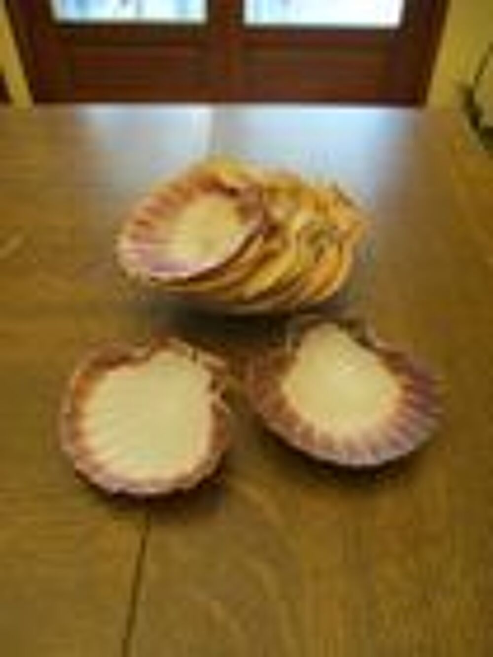 Tr&egrave;s grandes coquilles saint jacques Décoration