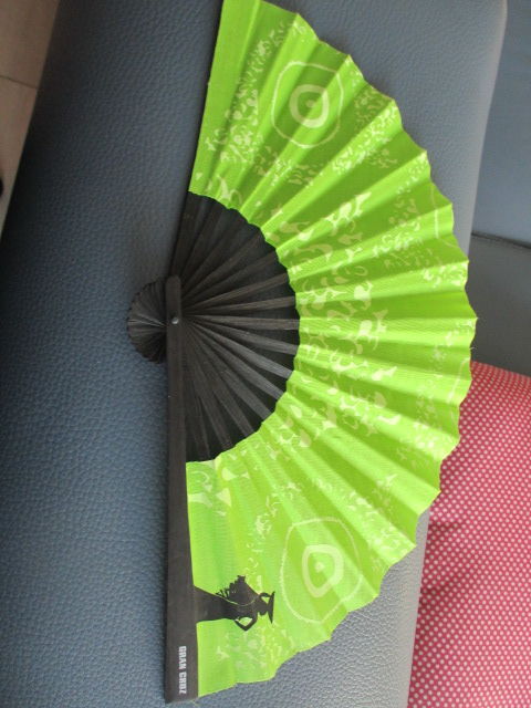 eventail 10 Castres (81)