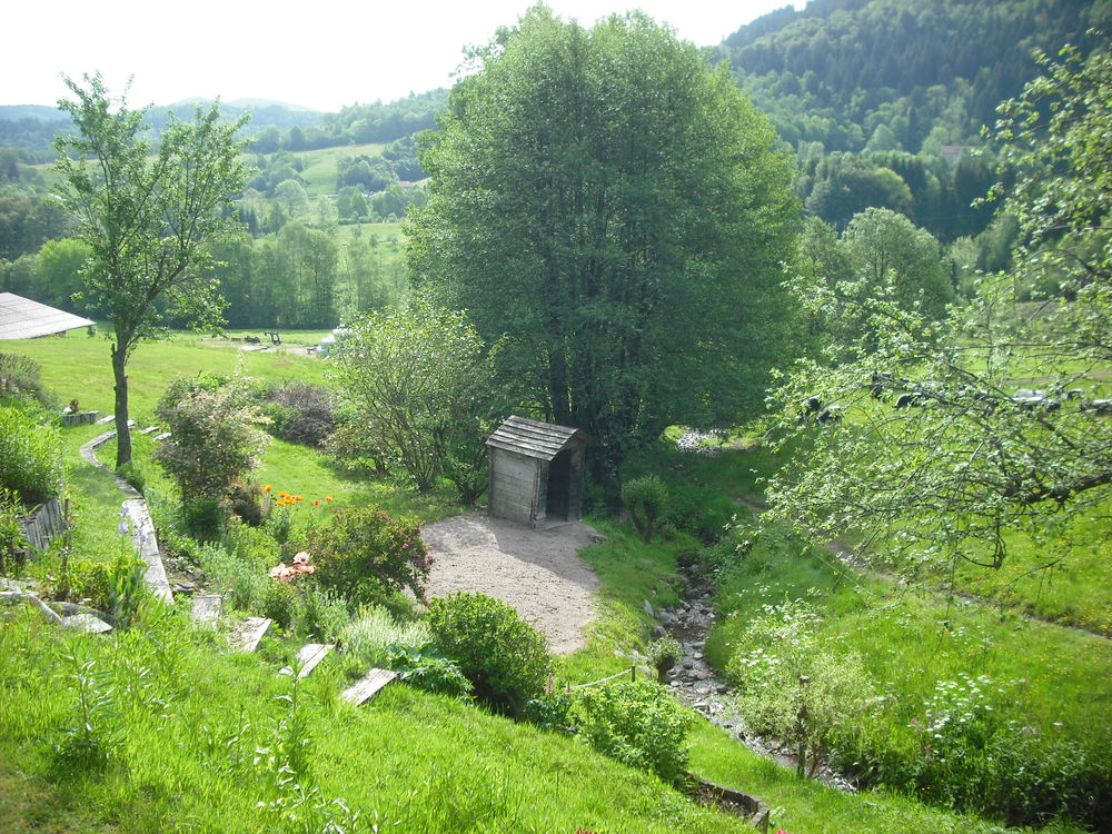   GITE de Montagne, en plein PARC NATUREL des VOSGES.
Lorraine, Le Thillot (88160)