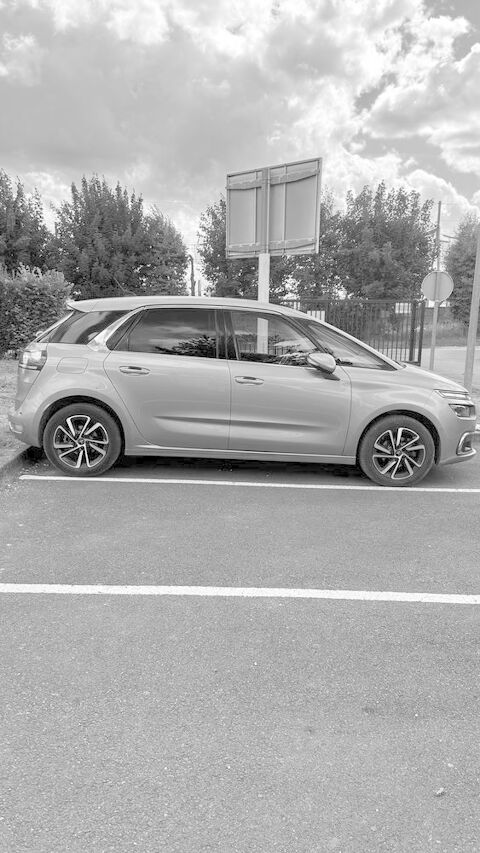 Citro&euml;n C4 Spacetourer BlueHDi 130 S&S Shine 2019 occasion Reims 51100