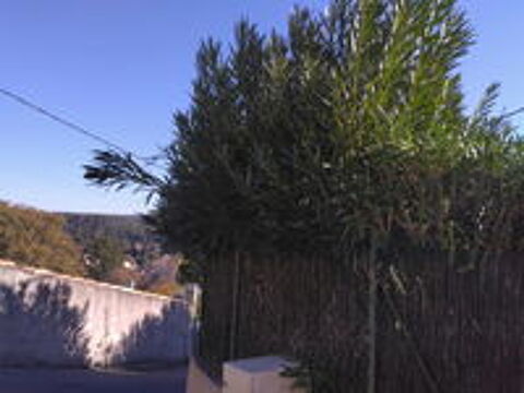   Jardinier 