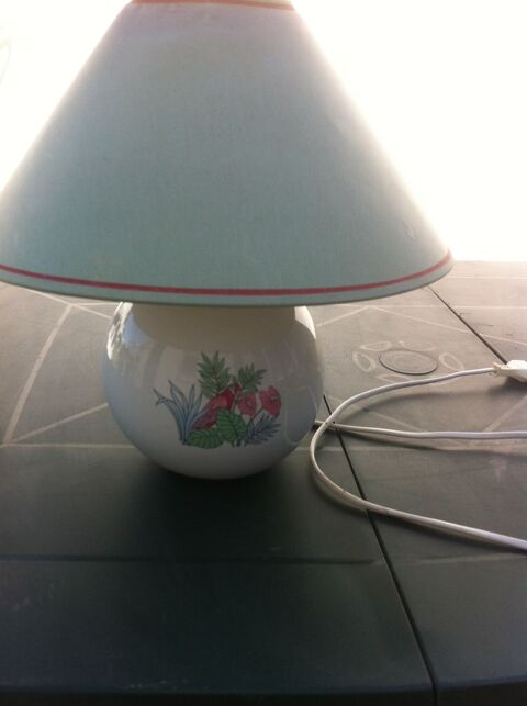 LAMPE ALPAC PERROQUET VINTAGE 8 Saint-Omer (62)