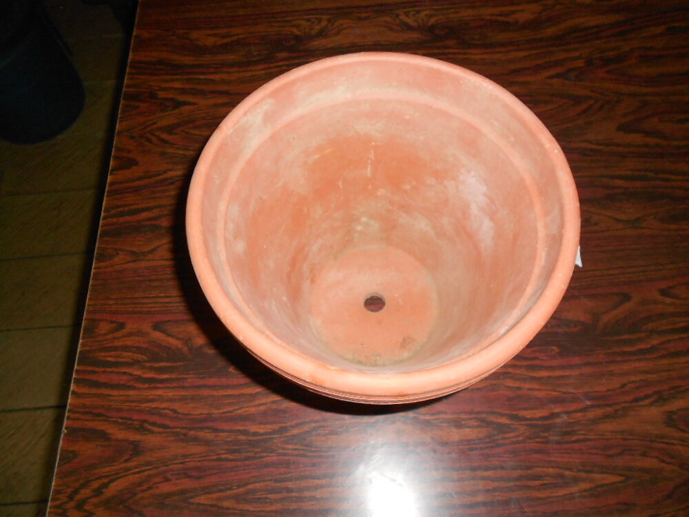 UN POT EN TERRE CUITE Jardin