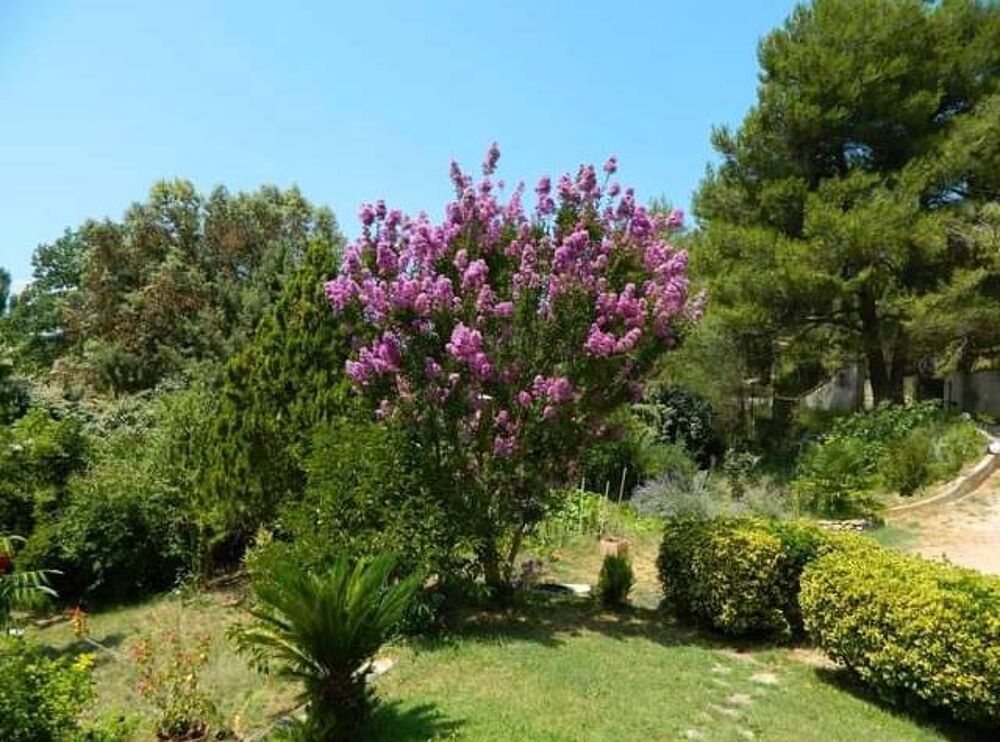   maisonnette de charme dans le site de la Sainte Victoire Vacances  / Offres de location 