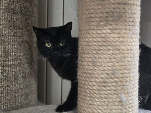 TABATA 210 27140 Gisors