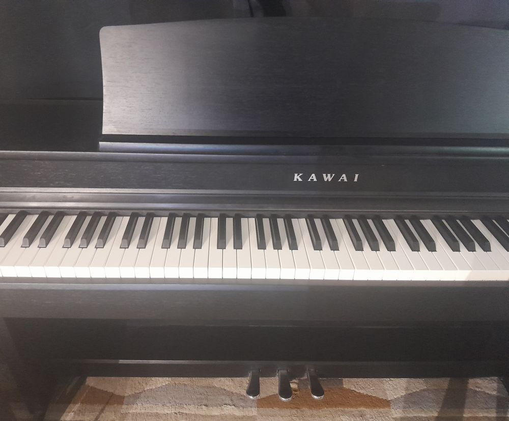 Piano num&eacute;rique Kawai CN39 Instruments de musique