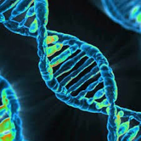 Cours de SVT et Biologie 20 75013 Paris