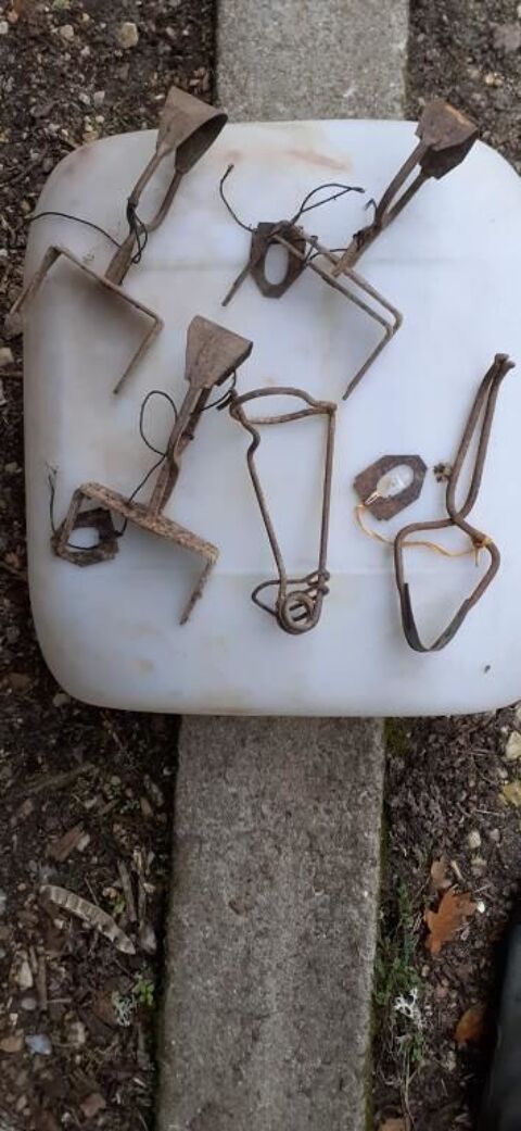 attrappe taupe 5 Courmemin (41)