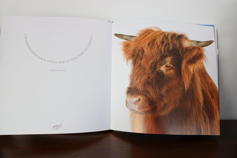 DROLE DE VACHES ! Livres et BD