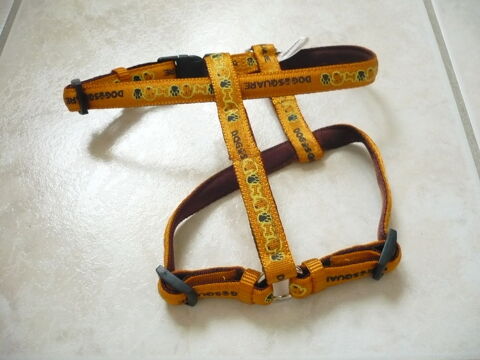 harnais pour chien 3 Dhuizon (41)