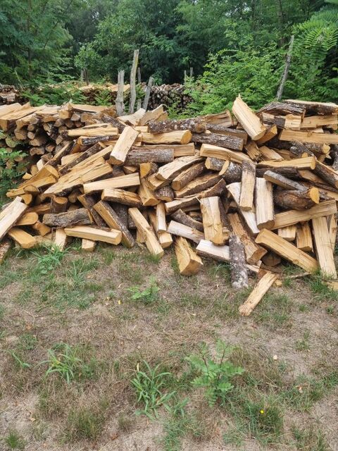Bois de chauffage 60 Sainte-Maure-de-Peyriac (47)