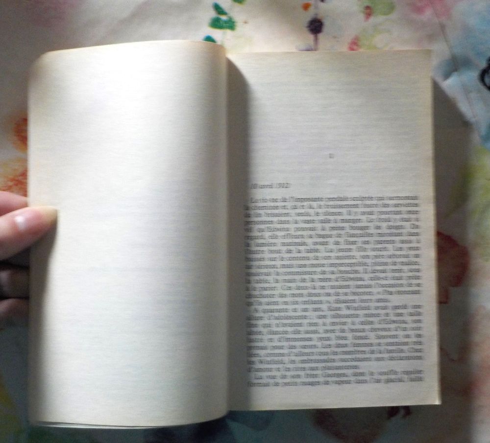UN SI GRAND AMOUR de Danielle STEEL Ed. Pocket Livres et BD