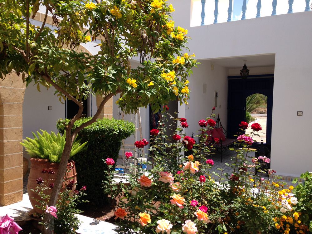   de villa  riad meublée avec jardin a ESSAOUIRA Centre, Semoy (45400)