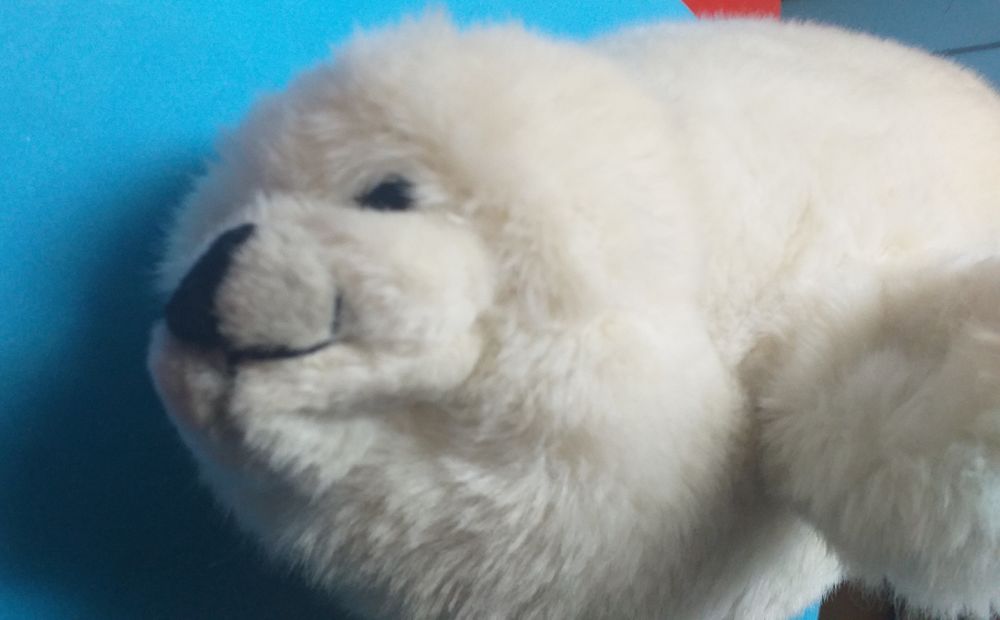 Peluche OTARIE blanche Jeux / jouets