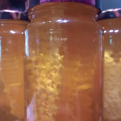 Pots de miel du Bourbonnais avec br�che de cire 100% nature. 6 Cesset (03)