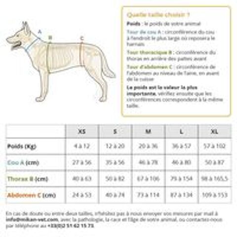   Harnais complet pour promenade pour chien mâle 