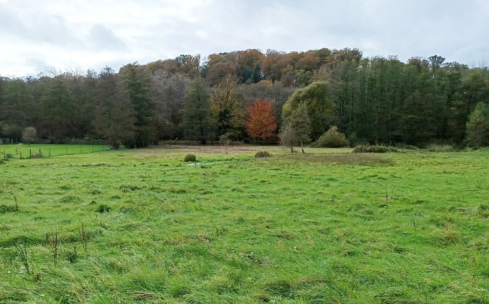 Vente Terrain SECTEUR VALMONT, TERRAIN 2.348 m2 DEJA VIABILISE Riville