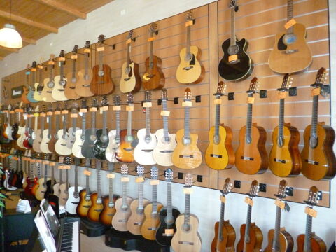 Instruments de musique aux Herbiers 100 Les Herbiers (85)