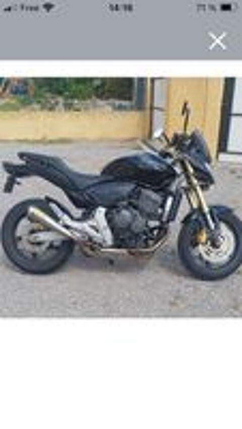 HONDA 2008 occasion 34460 Cessenon-sur-Orb