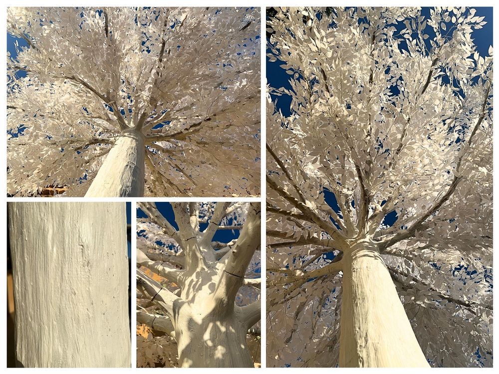FICUS BLANC ARTIFICIEL 4,50 M ? D&Eacute;STOCKAGE Jardin