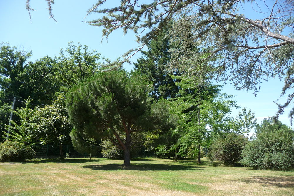 Vente Terrain Magnifique Parc Privé Arboré de 4200 M² avec dépendances Aubusson