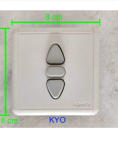 SOMFY Interrupteur mural blanc encastré volet roulant1800019 Foncine-le-Haut (39)