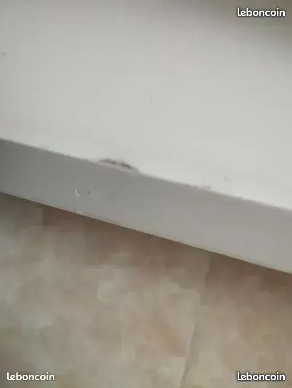 Meuble TV laqu&eacute; blanc Meubles