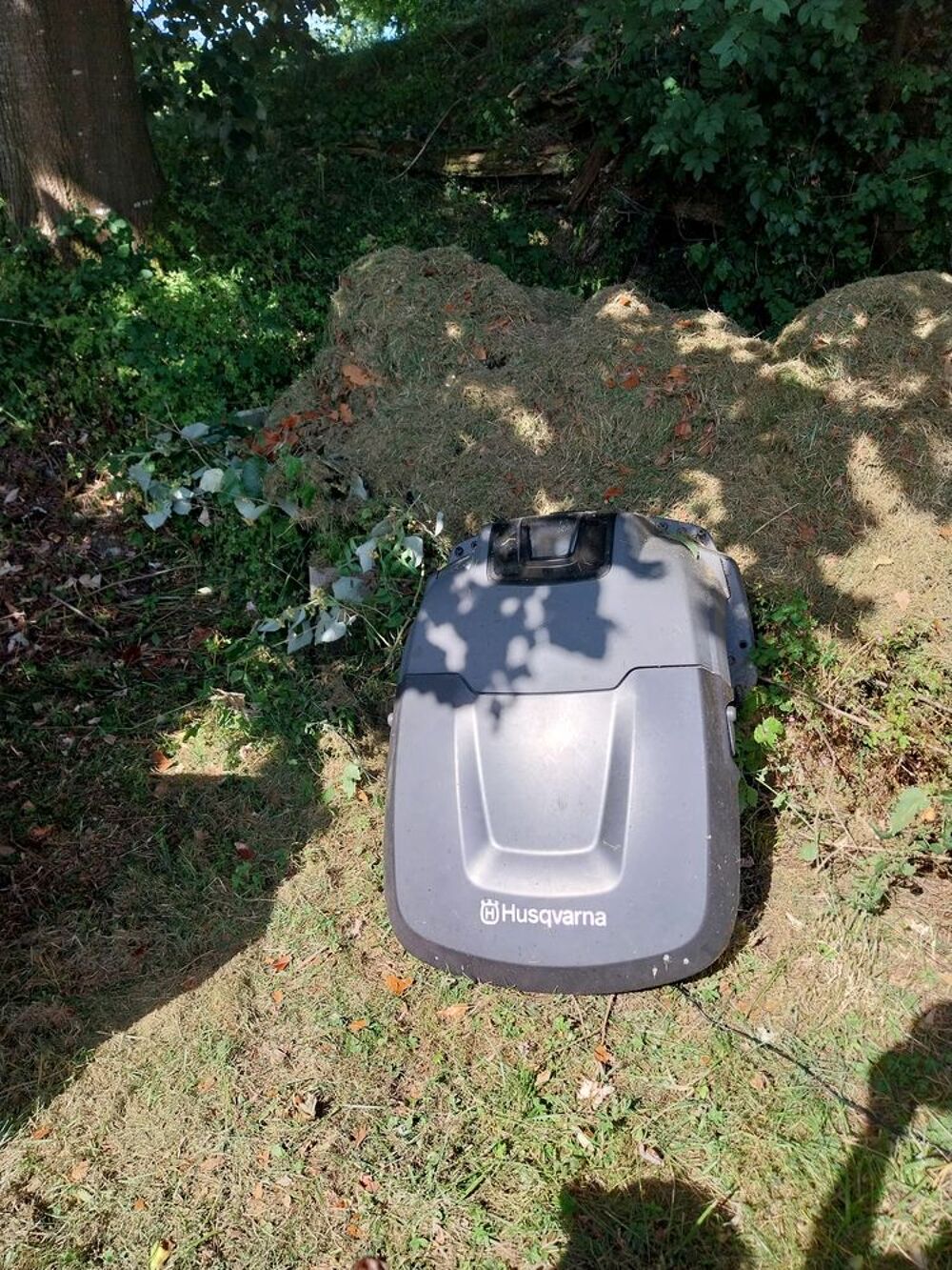 Robot tondeuse Jardin
