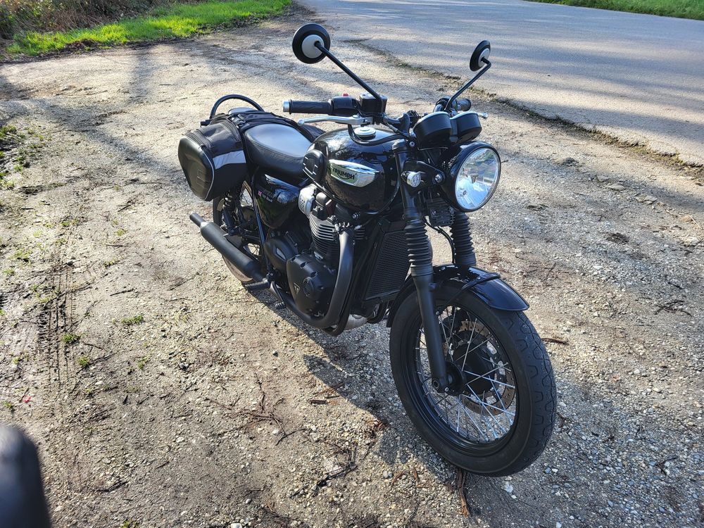 TRIUMPH 2017 occasion 56530 Qu&eacute;ven