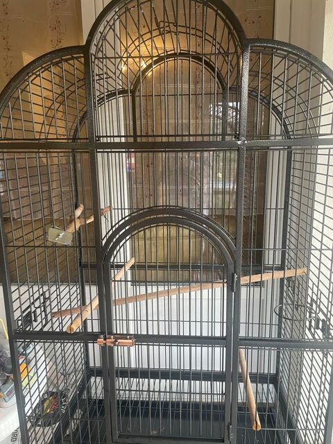 Cage/ volière 200 24460 Saint-front-d'alemps