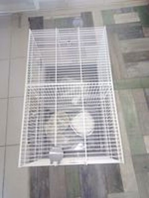   cage a oiseaux 