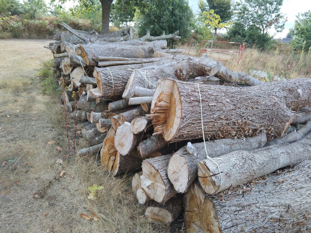 Bois de chauffage Bricolage