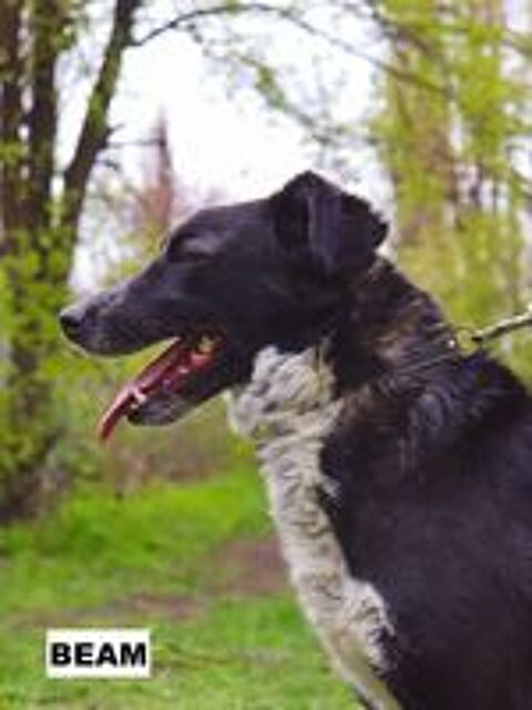   BEAM SE TROUVE DANS UN REFUGE EN UKRAINE 