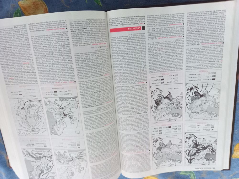 Quid 2001 Livres et BD