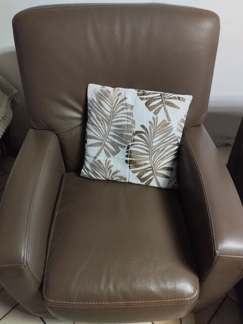 Fauteuil club Bauvin (59)