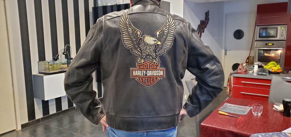 Blouson Cuir Harley Vêtements
