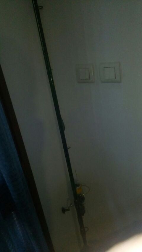 canna a carpe 80 L'Isle-sur-la-Sorgue (84)