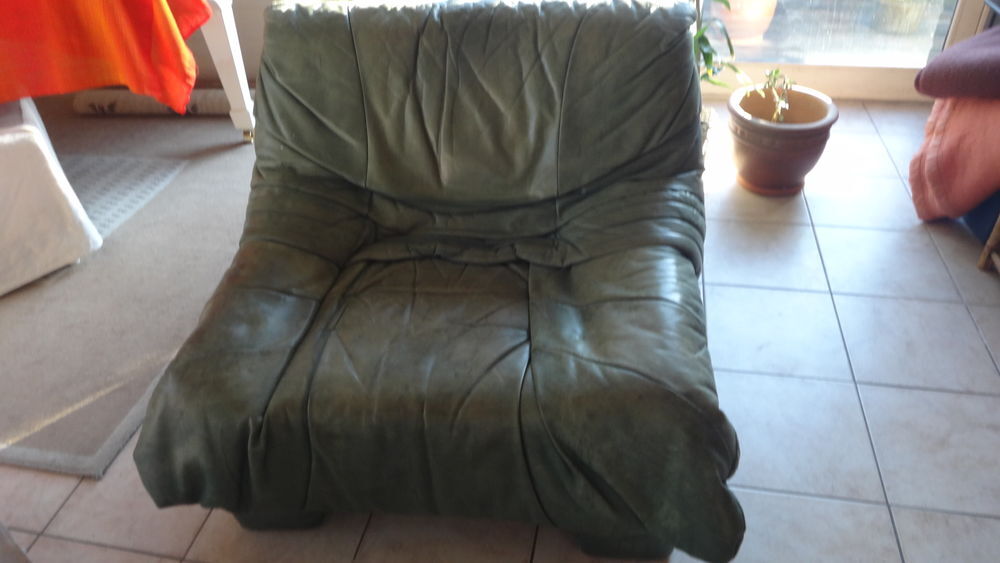 Fauteuils en cuir teint&eacute;s vert Meubles