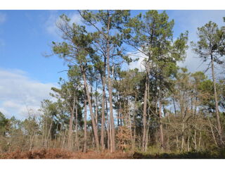  Terrain � vendre 5899 m�