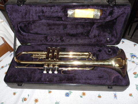 Trompette Rognonas (13)