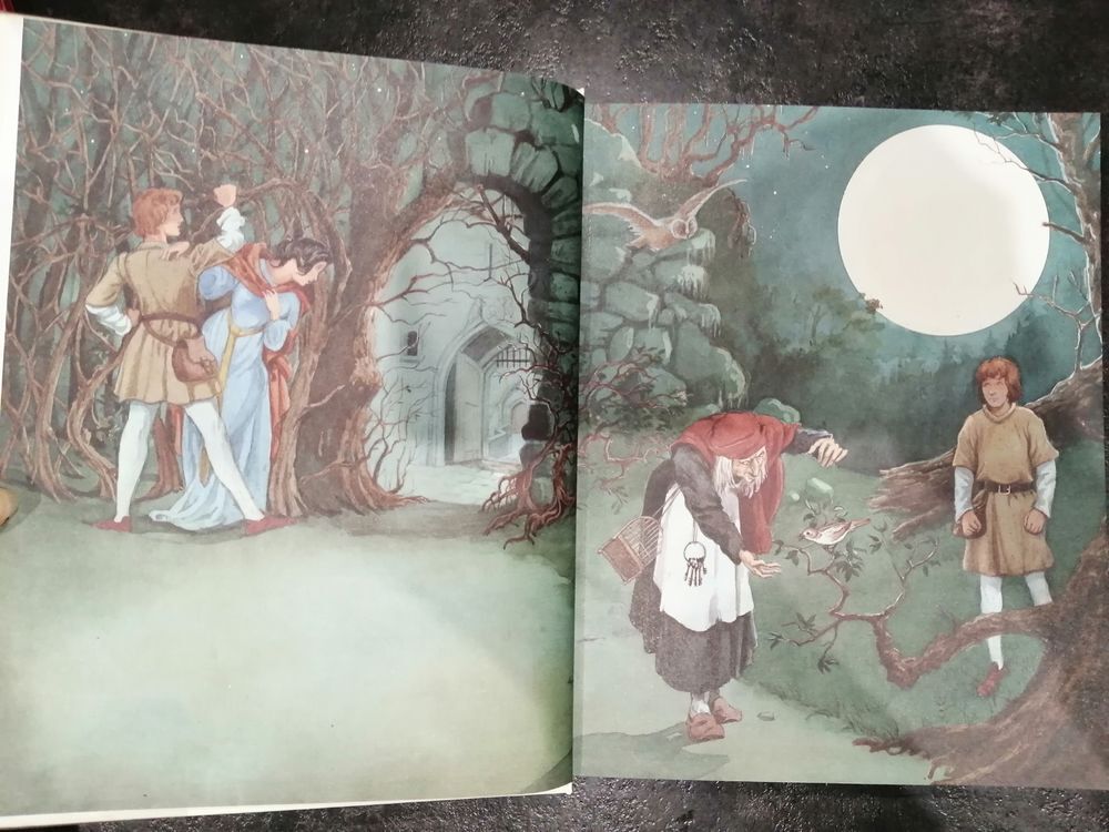 Contes de Grimm illustr&eacute;s Version int&eacute;grale Livres et BD