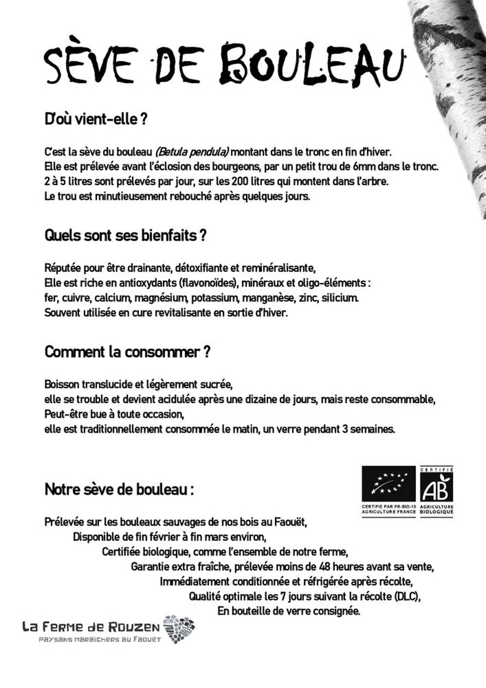 S&egrave;ve de bouleau Cuisine