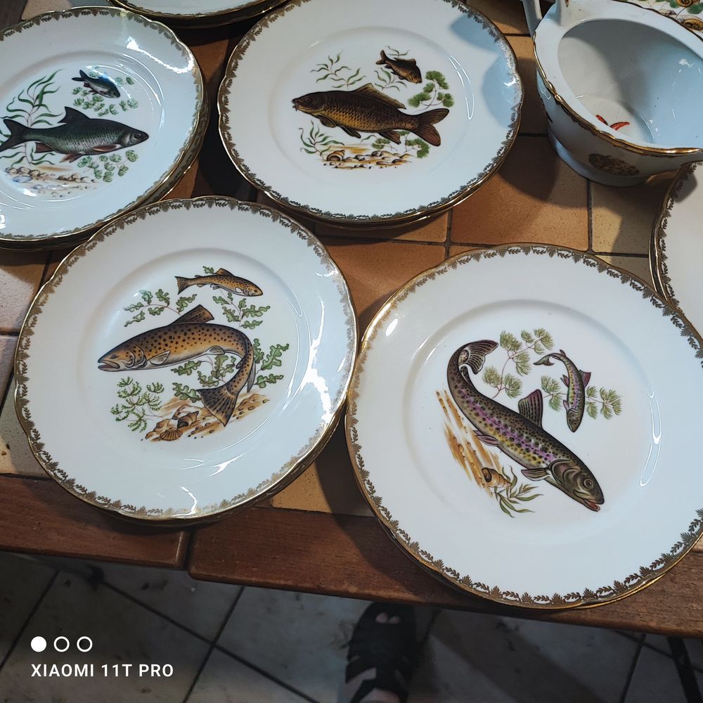 Service a poisson Cuisine