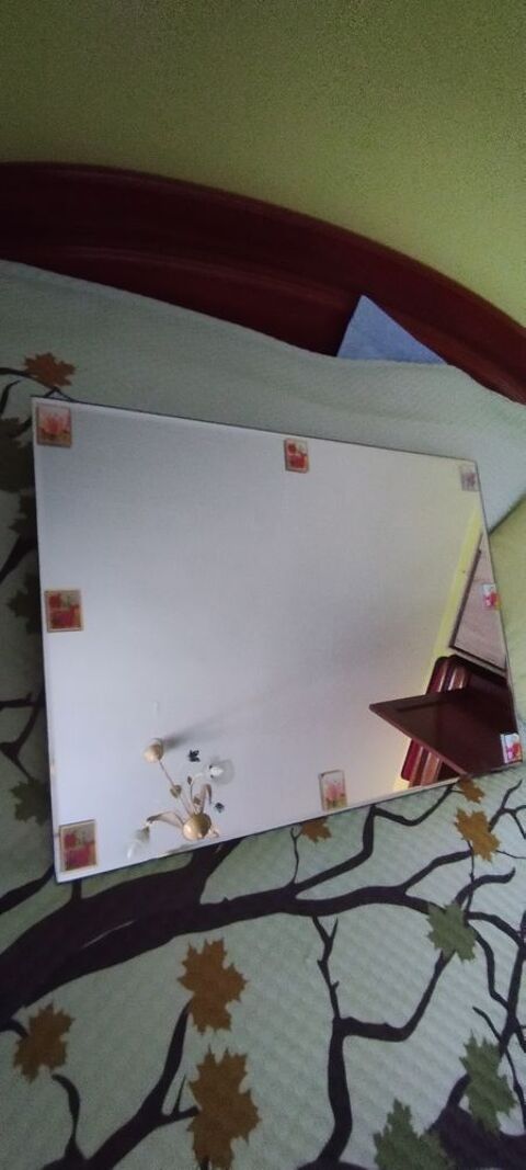 Miroir 30 Ribiers (05)